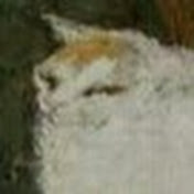 Profile Picture of Elijah Hal Wiser (@elijahhalwiser5243) on Youtube
