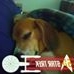 Profile Picture of James OConner (@james.oconner.182) on Facebook