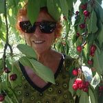 Profile Picture of Ursula Weiss (@ursaweiss) on Instagram