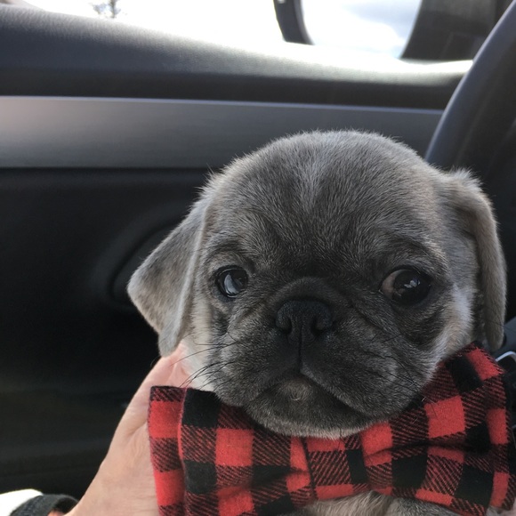 Profile Picture of Maribeth Ryan (@mryan021) on Poshmark