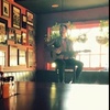 Profile Picture of Jack Byrne (@@jackbyrnemusic) on Tiktok