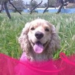 Profile Picture of Josline Gallagher Mackay (@joslinegallagher) on Instagram