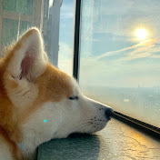 Profile Picture of Burt Yu (@burtyu4801) on Youtube