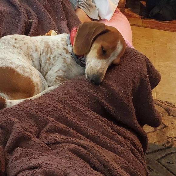 Anabell Reyna - Poshmark Profile Picture of Anabell Reyna (@rochaanabell) on Poshmark