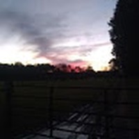 Profile Picture of Lillian Wade (@lillian-wade-11) on Quora