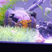 Profile Picture of Craig Latham (@craiglatham7741) on Youtube