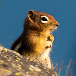 Profile Picture of Jim  Fulton (@jim fulton) on Flickr