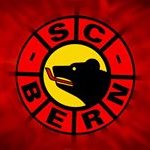 Profile Picture of David Scherz (@scherzdavid) on Instagram