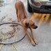 Profile Picture of Karl Engstrom (@engstrom1825) on Pinterest
