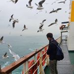 Profile Picture of Mohammad AbuGhoush (@mohammadag90) on Instagram