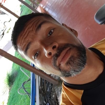 Profile Picture of Denis Andrade (@Deniswandrade) on Twitter