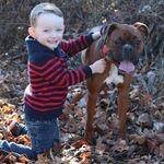 Profile Picture of Randy Davies (@daviesrandy) on Instagram