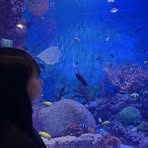 Profile Picture of Eunhye Kim (@eunhye.kim.657126) on Facebook