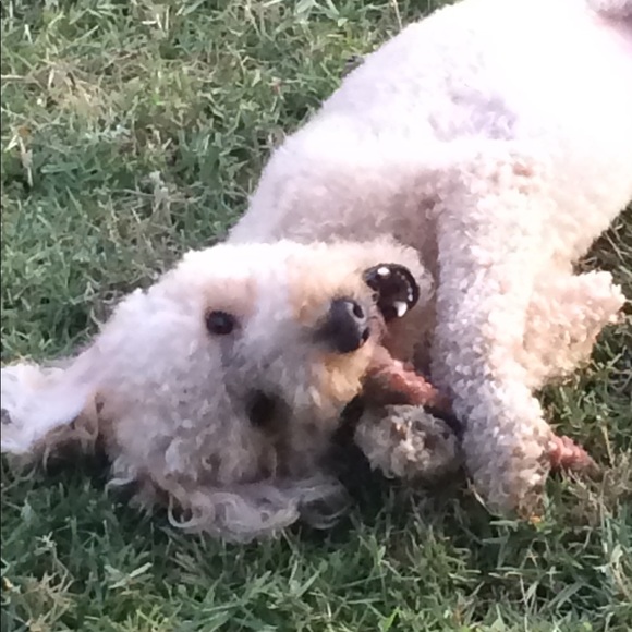 Profile Picture of Anslee Tranum (@anslee_tranum01) on Poshmark