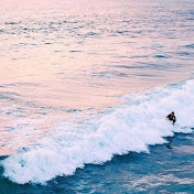 Taylor Cartwright - Youtube Profile Picture of Taylor Cartwright (@taylorcartwright1550) on Youtube