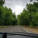 Profile Picture of argelia jimenez (@jimenez.argelia) on Instagram