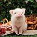 Profile Picture of Olivia Monroy (@olimon1956) on Pinterest