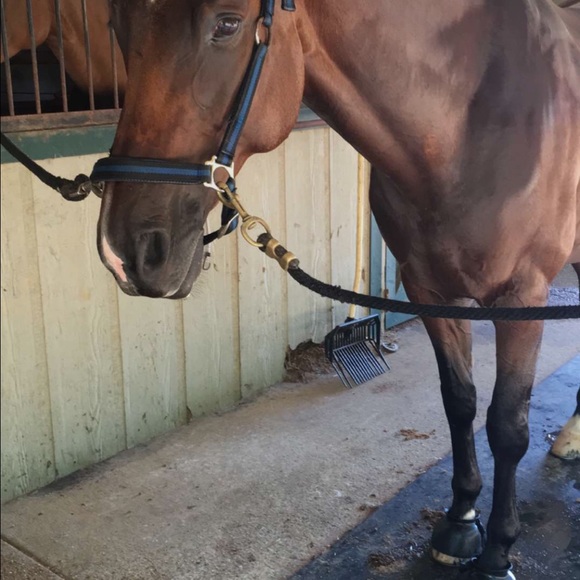 Profile Picture of Grace Lindly (@gnl1557946) on Poshmark