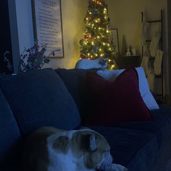 Profile Picture of Sherry Accorso (@sherryaccorso78) on Poshmark