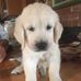 Profile Picture of Chris Widmer (Chris Widmer) (@chris.widmer.902) on Facebook