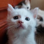 Profile Picture of Laura Gunter (@Laura-Gunter) on Facebook