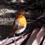 Profile Picture of Kt Dinks (@kt dinks) on Flickr