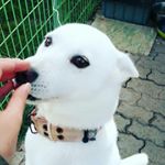 김란돌 - Instagram Profile Picture of 김란돌 (@rana__1217) on Instagram