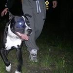 Profile Picture of Daniel Królikowski (@daniel_krolik_009) on Instagram