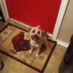 Profile Picture of Carlene Foster (@carlenefoster) on Instagram