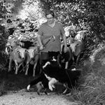 Profile Picture of Katharina Bitterli-Ebert (@bitterliebert) on Instagram