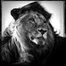 Profile Picture of Mike Landers (@mike.landers.1481) on Facebook