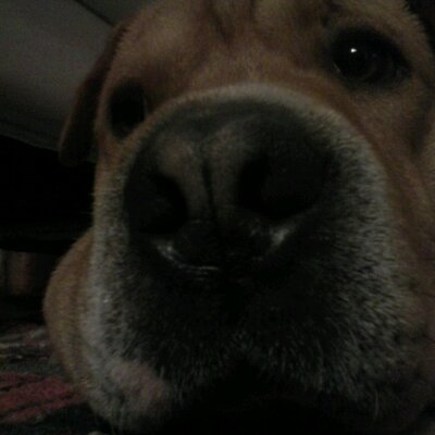 Profile Picture of Alex Zanetti (@alexzanetti100) on Twitter