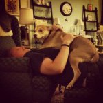 Profile Picture of Steve Lally (@lally2634) on Instagram