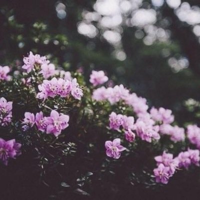 Profile Picture of Amanda Blomquist (@amandablom2222) on Twitter
