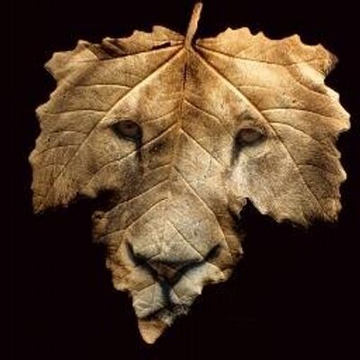 Profile Picture of Andrew Dares (@andrewdares) on Twitter