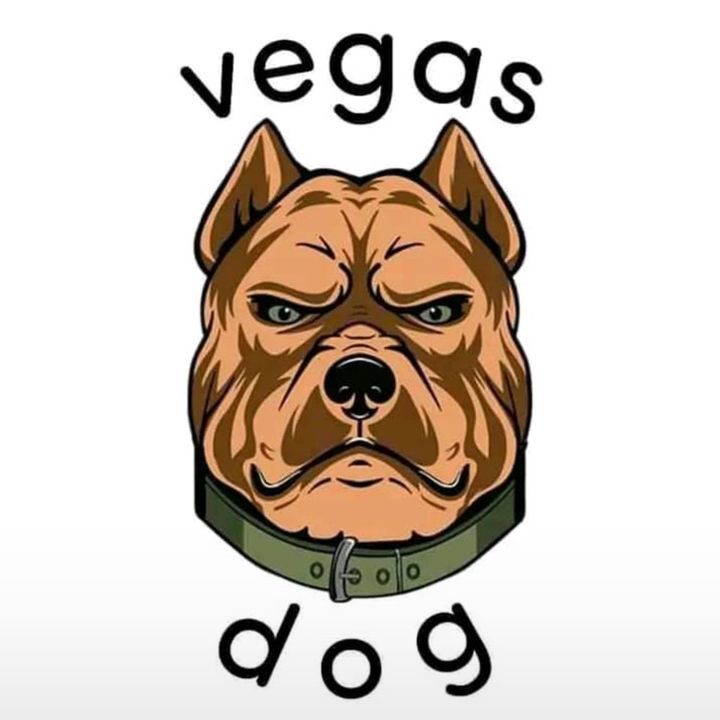 Profile Picture of Daniel Vegas (@vegasdogkennel) on Tiktok