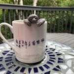 Profile Picture of V Swartz (@vickiswartz7) on Instagram