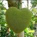 Profile Picture of Kala Singh Singh (@kalasingh.singh.710) on Facebook
