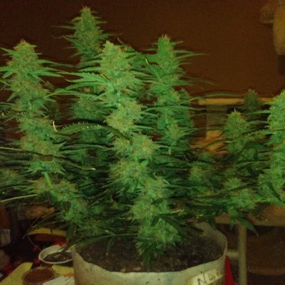 Profile Picture of Jonathan Stidham (@jonathanstidha2) on Twitter