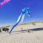 Profile Picture of Brad Malpass (@thecoastalwoodworker) on Instagram