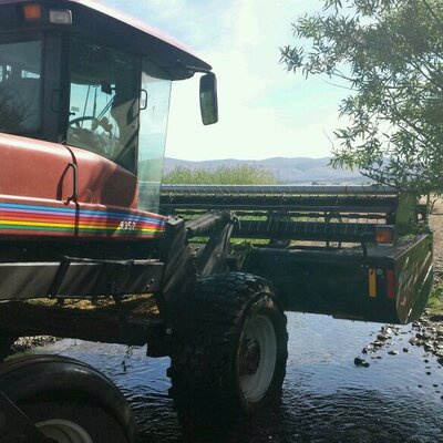 Profile Picture of Zachary Rojas (@Zachary_Rojas) on Twitter