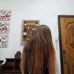 Profile Picture of Maria Paula Gianotti (@purpleunil) on Instagram