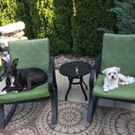 Profile Picture of Amy Cisler Gutzman (@amygutzman) on Instagram