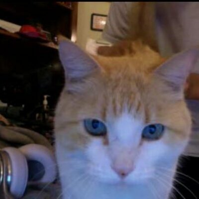 Profile Picture of AnthonyMahone (@Anthony_Mahone) on Twitter