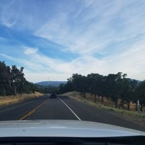 Profile Picture of Zane Lambert (@Zane_Lambert123) on Twitter