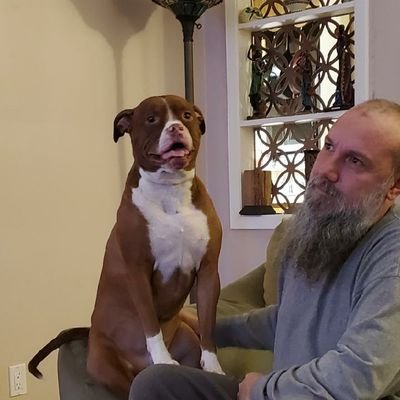 Profile Picture of Mike Mangold (@mmangold01) on Twitter