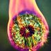 Profile Picture of Theresa Zalewski (@terrytuscano) on Pinterest