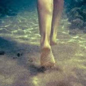 Profile Picture of Angel Emmanuel Jauregui Merino (@angelemmanueljaureguimerino) on Youtube