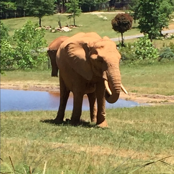 Profile Picture of Ian Hammett (@hammett17) on Poshmark