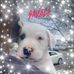 Profile Picture of Bryant Garrett (@bryant.garrett.50) on Facebook